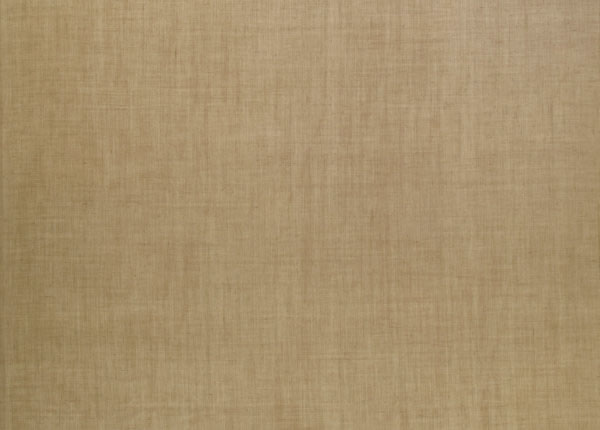 Ткань Designers Guild Molveno F1237/22