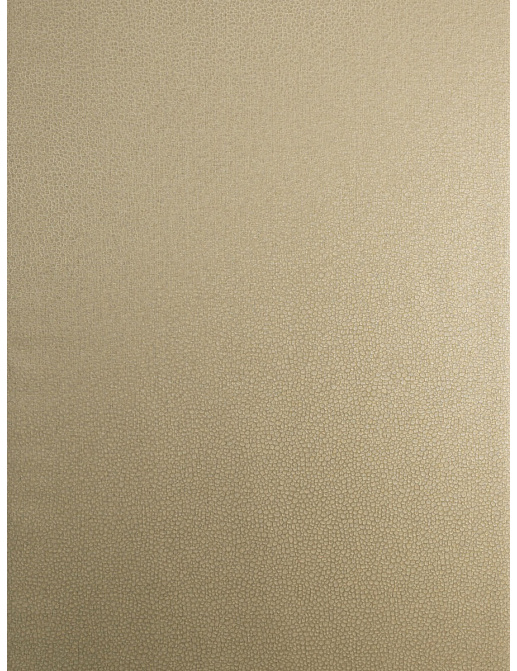 Обои Trend Vern Yip W30016/05