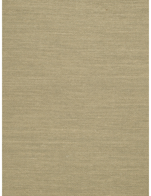 Ткань Trend Blush Punch Prints & Wovens Vol.III 02626/Raffia