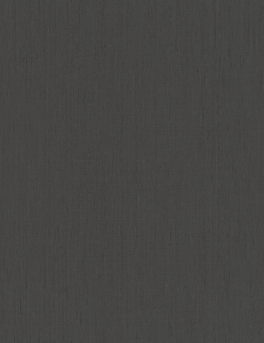 Обои Rasch Indian Style 746198
