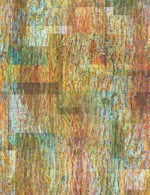 Панно и фотообои Casamance Oxymore 3 77802213
