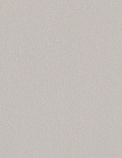 Обои A. S. Creation Colourfast 95956-4