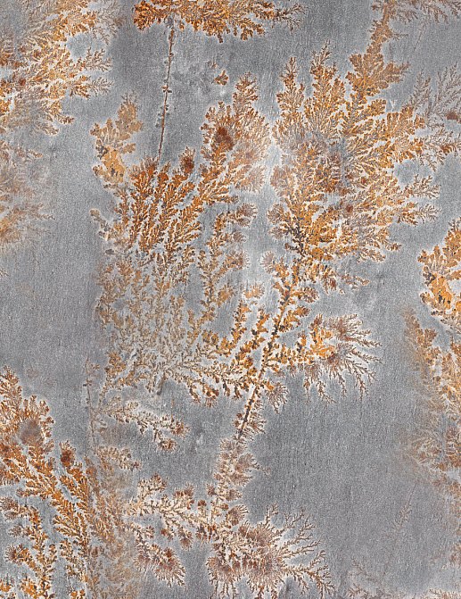 Панно и фотообои Glamora Creative Wallcovering GLFO121A