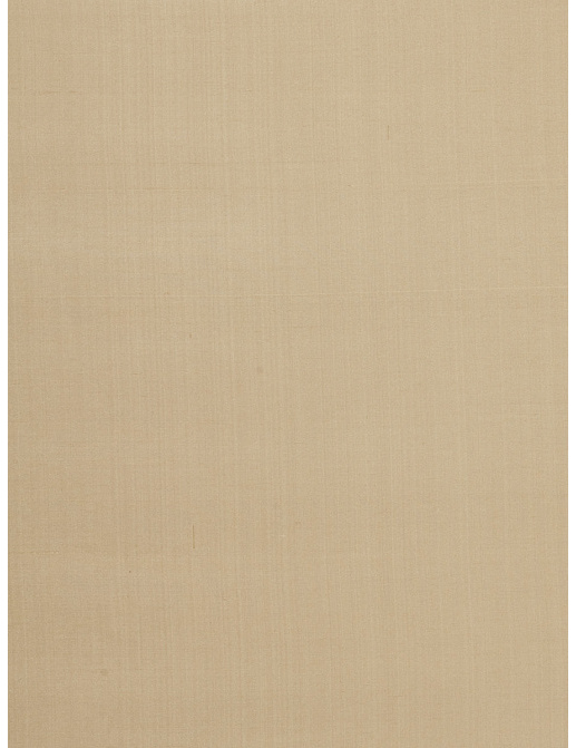 Ткань Fabricut Douppioni Silk Vol.II Multipurpose Douppioni silk/Spun gold
