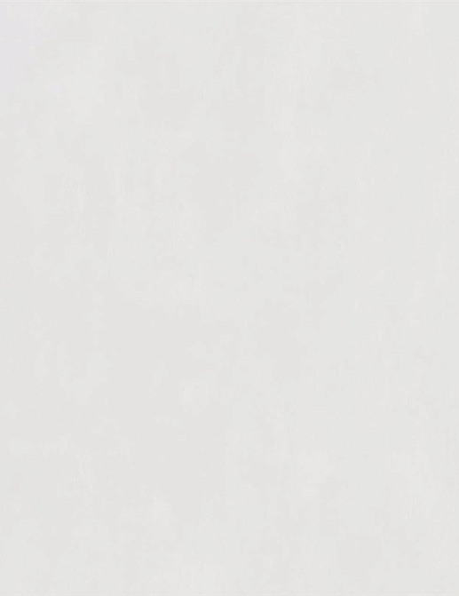 Обои Designers Guild Parchment PDG719/01