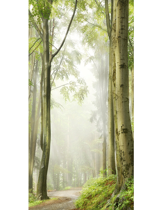 Панно и фотообои Affresco Фрески и фотообои ID10907