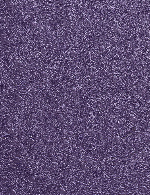 Бордюр Marburg Opulence Giulia 51317