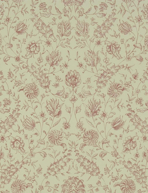 Обои The Royal Collection Rosa Chinensis PQ009/05