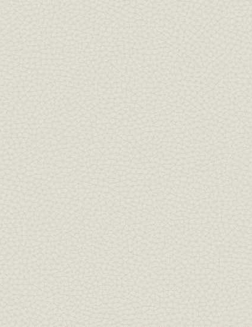 Обои Carl Robinson Edition 17 - Loft CR88001