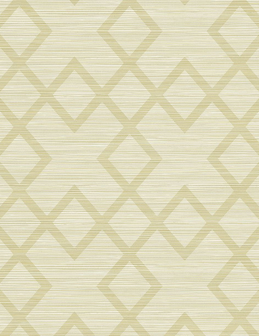 Обои Wallquest Geotex BW40405