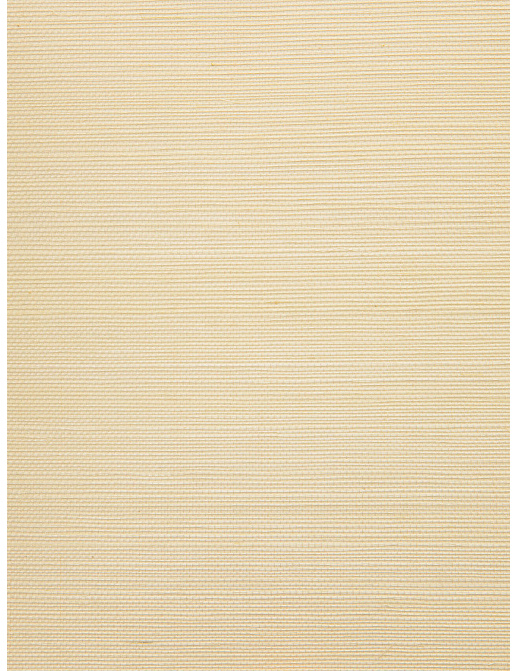 Обои Holland & Sherry Textured Collection DEWP7051/Union