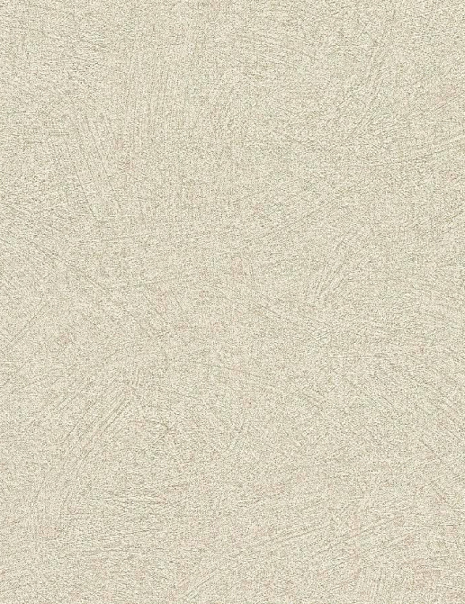 Обои Rasch Concrete 520248