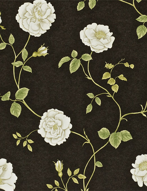 Обои Sanderson Wallpapers from a Painters Garden DAPGRO104