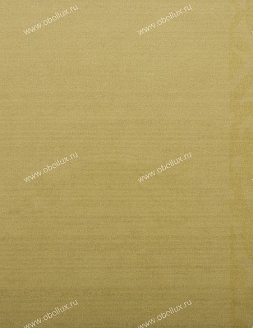Обои Zoffany Plain & Stripes 2457003
