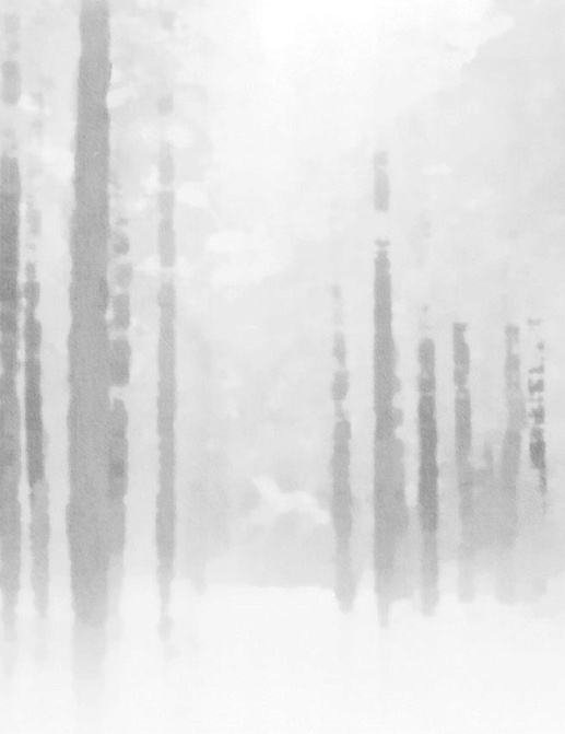 Панно и фотообои Tecnografica Collection 2019 54957-1/A