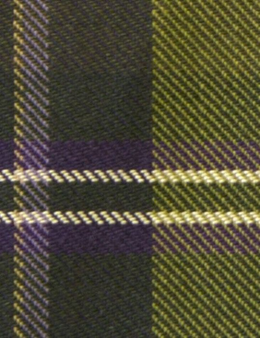 Ткань Galleria Arben Pheasant Hunt Sticky Wicket/Tartan