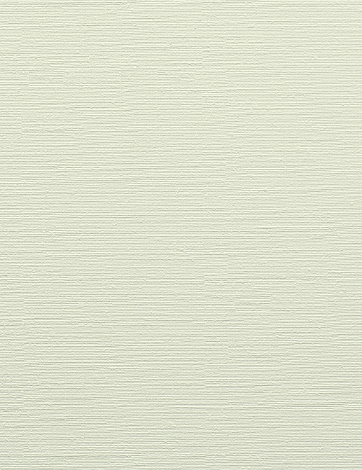 Обои BN International Colour Line 43745