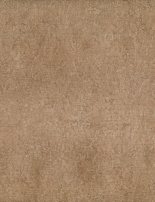 Обои Jannelli & Volpi JV 104 Lithos 7674