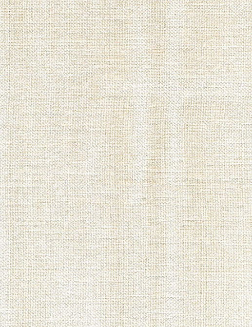 Ткань Andrew Martin Carlotta Palazzo/Ivory