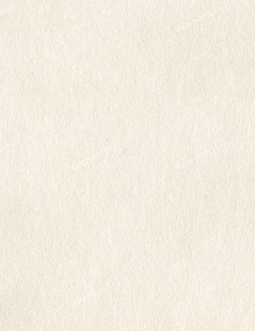 Обои York Ronald Redding - Sculptured Surfaces LS6107RD
