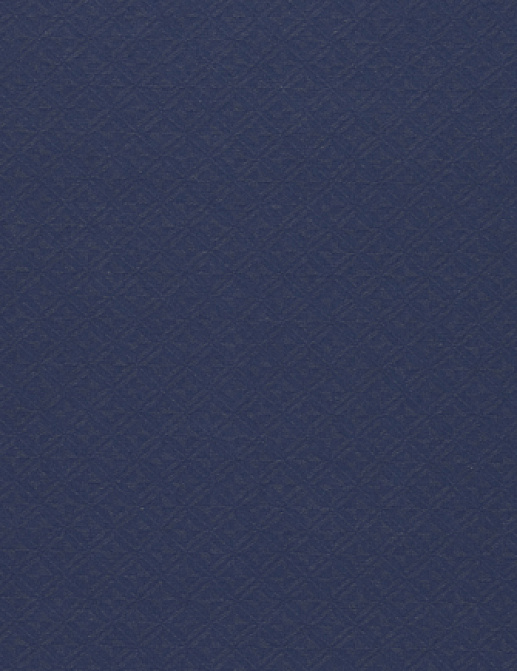 Ткань Designers Guild Perreau F1906/04
