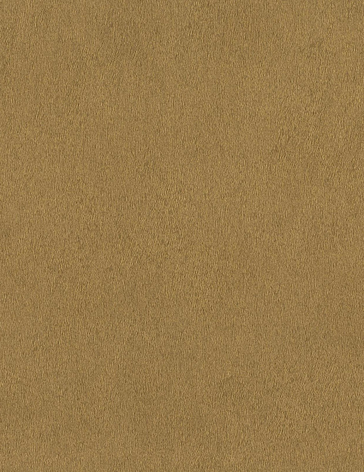 Обои Rasch African Queen III 751031