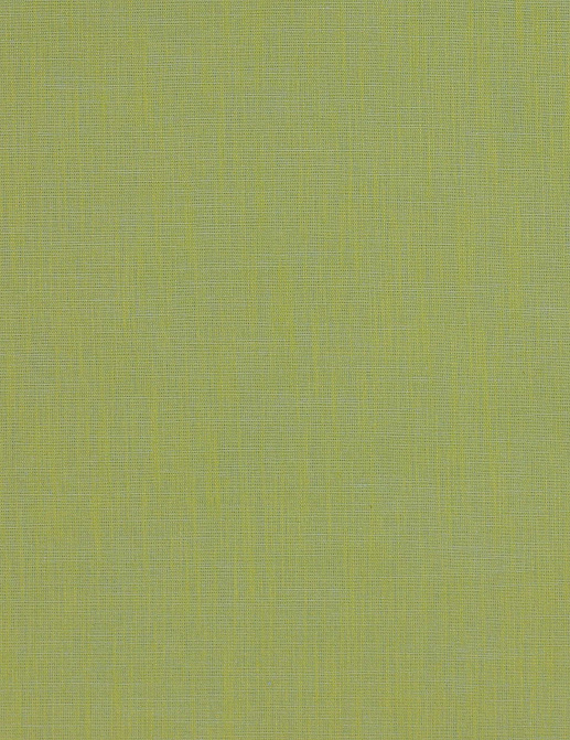 Ткань Manuel Canovas Chloe 04882/25