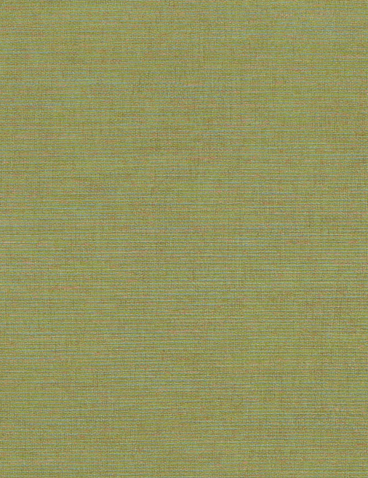 Обои Jannelli & Volpi 171 Ikat 6415