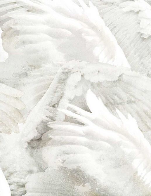 Панно и фотообои Inkiostro Bianco Story 2013/2019 Collections INKRABH1801