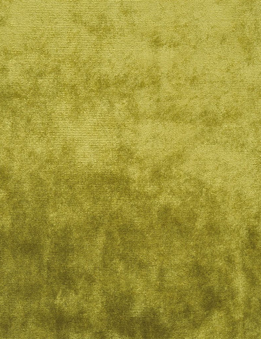 Ткань The Royal Collection Palace Damask FRC2400/01