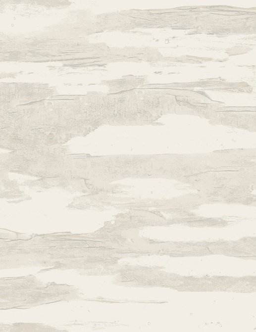Обои York Natural Discovery (Candice Olson) NT6176