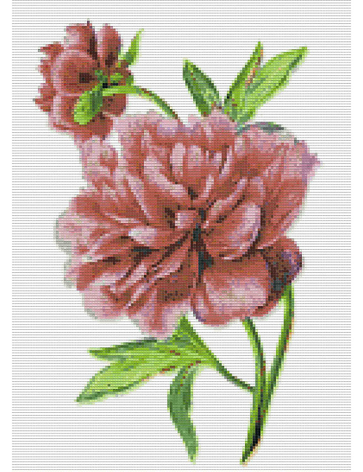 Обои Mozzle Floral MZ00515-001