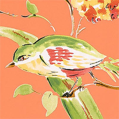 Обои Thibaut Waterlily T1147