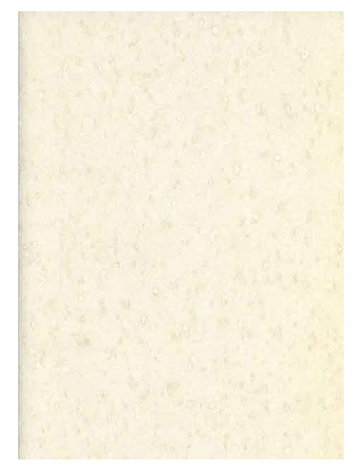 Обои Prestigious Textiles Pure 1928-012