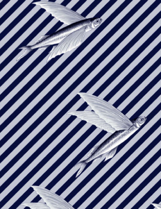 Ткань Flying Fish Interior Textiles T-5-L
