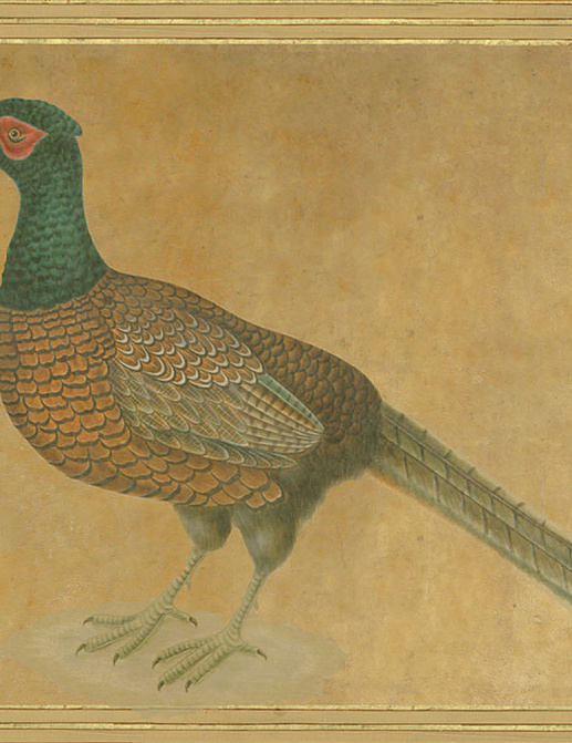 Панно и фотообои Iksel Scenic & Architectural Wallpapers Johann Walter Birds Walt4