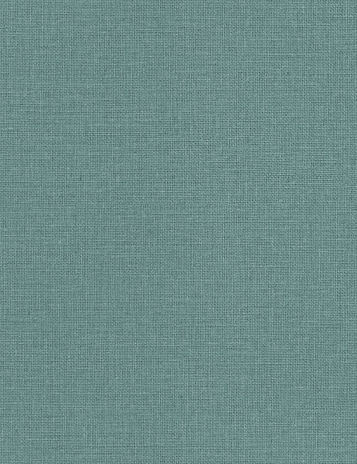 Обои Caselio Jute JTE104016330