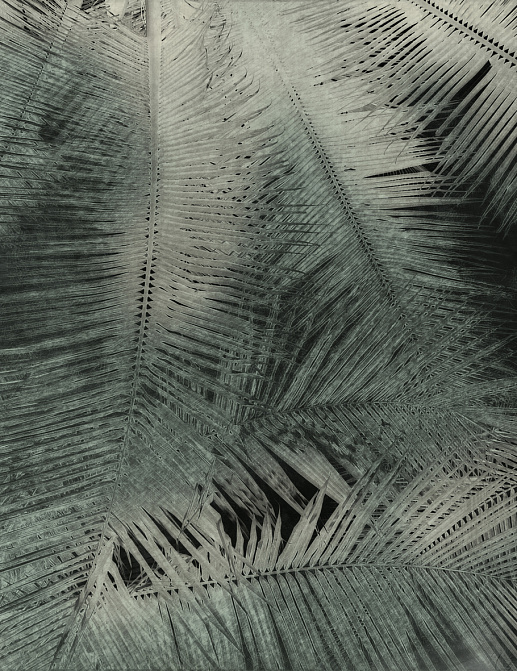 Панно и фотообои Glamora Creative Wallcovering GLNF111A