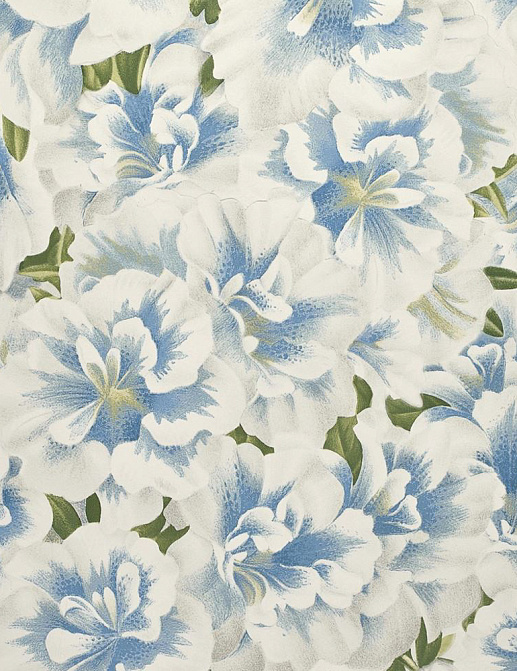 Обои Designers Guild John Derian - Picture Book PJD6004-04