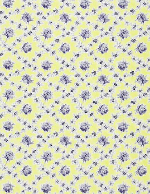 Ткань Designers Guild Country F1920/05