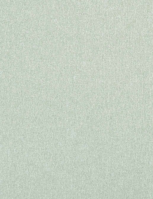 Ткань Clarke & Clarke Highlander 2 F0848/41