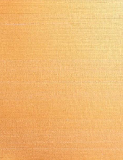 Обои Maison Neva Haiku HA2/29