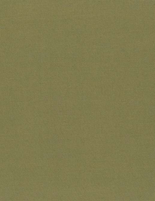 Ткань Designers Guild Aquarelle FDG2196/25