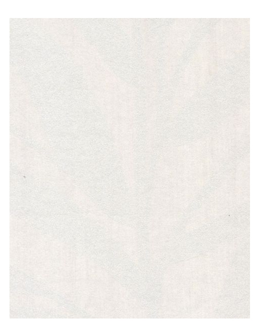 Обои Casamance Chromatic C880155