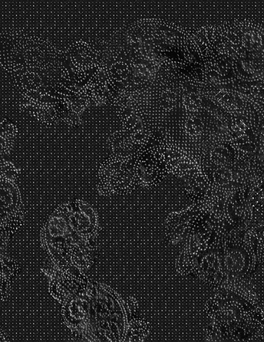 Панно и фотообои Wall & Deco Collection 2017 WDSP1702