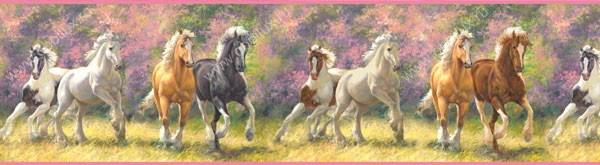 Бордюр Chesapeake Girls Rule GIR94041B