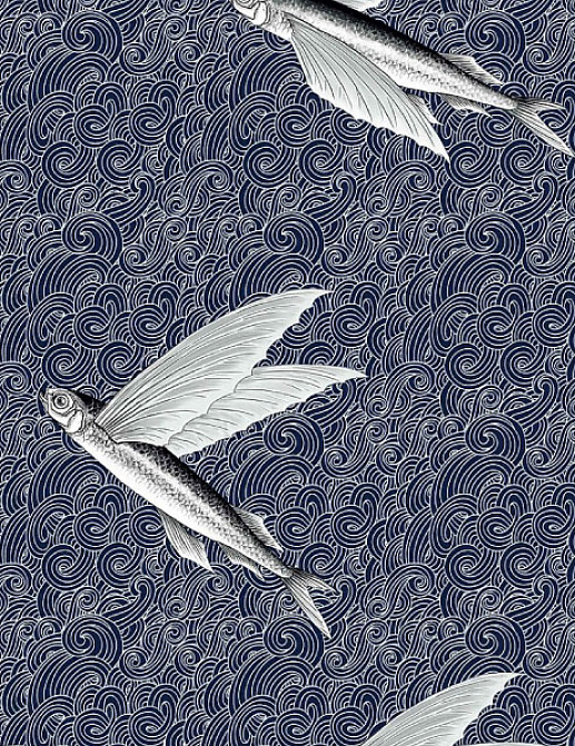 Ткань Flying Fish Interior Textiles И-2-Р