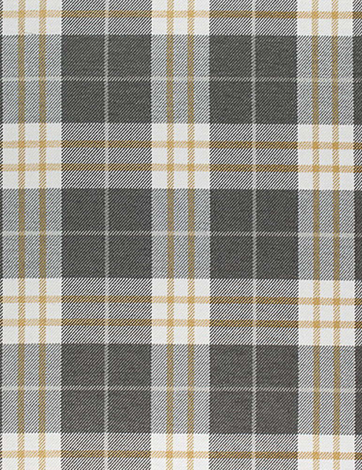 Ткань Thibaut Woven Resource vol.9 Stripes & Plaids W80079