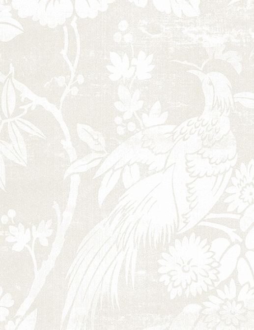 Обои Aura Silk Collection CS27383