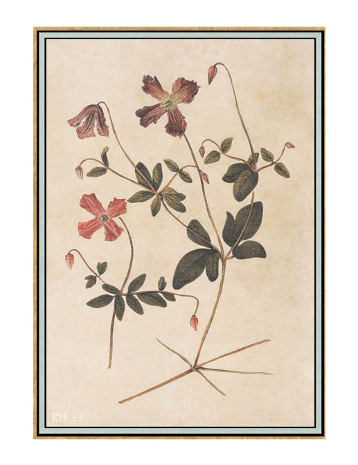 Панно и фотообои Iksel Scenic & Architectural Wallpapers Renaissance Herbier RH33